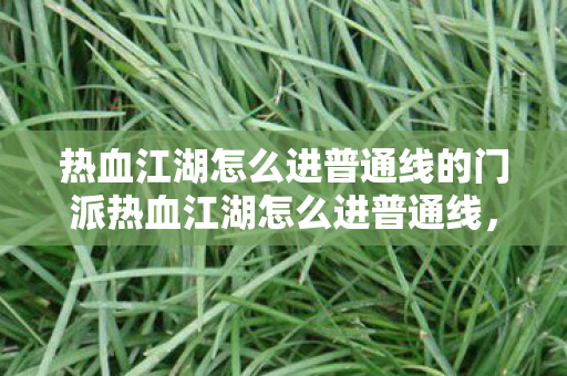 热血江湖怎么进普通线的门派热血江湖怎么进普通线，热血江湖，如何加入普通线门派