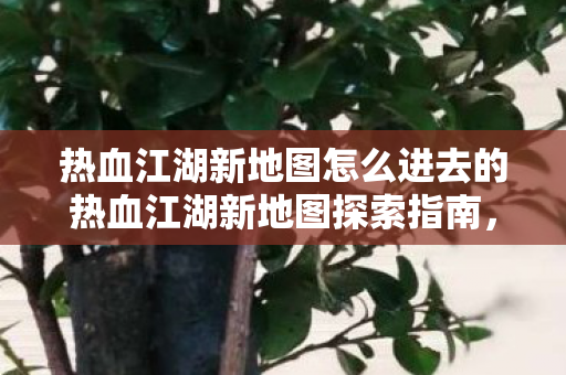 热血江湖新地图怎么进去的热血江湖新地图探索指南，揭秘进入方法，热血江湖新地图探索指南，揭秘进入方法与探索技巧