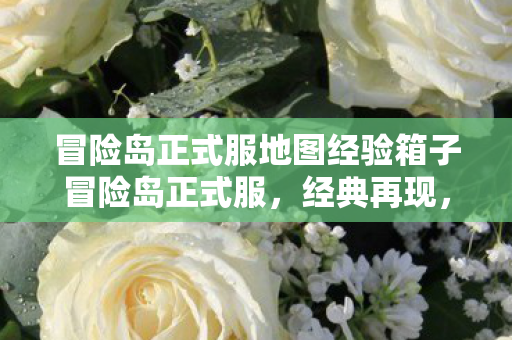 冒险岛正式服地图经验箱子冒险岛正式服，经典再现，情怀依旧，冒险岛正式服，经典再现，重温情怀之旅