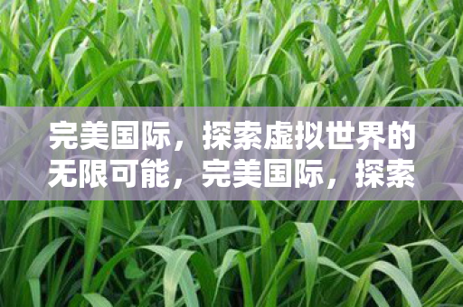 探索虚拟世界的无限可能图片