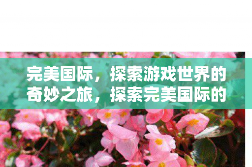 完美国际，探索游戏世界的奇妙之旅，探索完美国际的奇妙之旅，游戏世界的无限可能