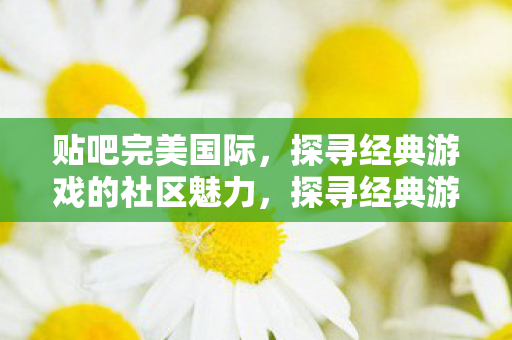 贴吧完美国际，探寻经典游戏的社区魅力，探寻经典游戏完美国际的社区魅力