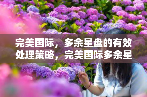 完美国际，多余星盘的有效处理策略，完美国际多余星盘处理策略，打造高效游戏装备！