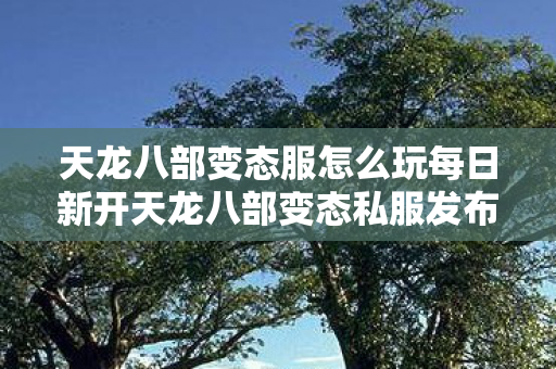 天龙八部变态服怎么玩每日新开天龙八部变态私服发布网站，畅游虚拟江湖的另类选择，天龙八部变态服，畅游虚拟江湖的另类选择
