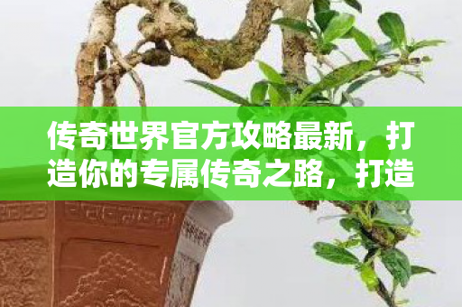 传奇世界官方攻略最新发布图片