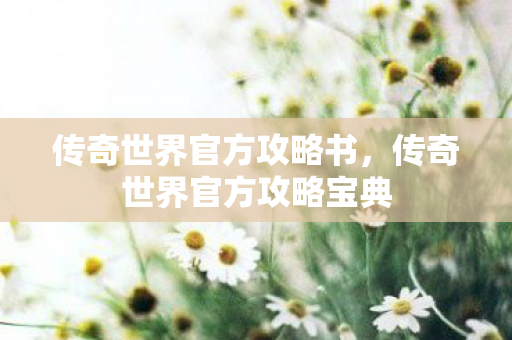 传奇世界官方攻略宝典图片