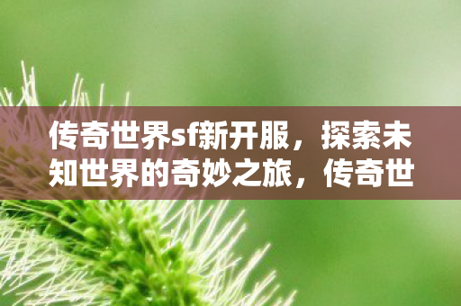 探索未知世界的奇妙之旅图片
