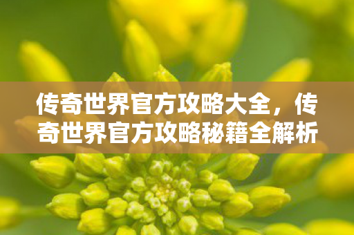 传奇世界官方攻略秘籍全解析图片