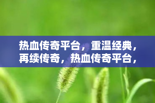 热血传奇平台，重温经典，再续传奇，热血传奇平台，重温经典，再续传奇之路