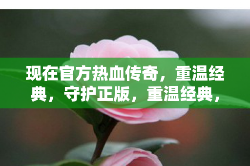现在官方热血传奇，重温经典，守护正版，重温经典，守护正版，官方热血传奇来袭