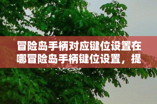 冒险岛手柄对应键位设置在哪冒险岛手柄键位设置图片