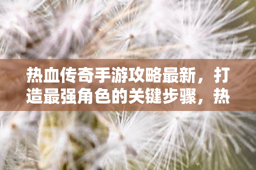 热血传奇手游打造最强角色攻略图片