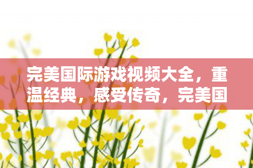 完美国际游戏视频大全图片