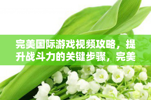 完美国际游戏视频攻略图片
