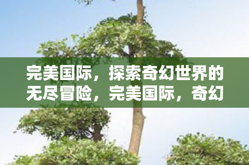完美国际,探索奇幻世界的无尽冒险,完美国际,奇幻世界的无尽冒险之旅 完美国际,探索奇幻世界的无尽冒险,完美国际,奇幻世界的无尽冒险之旅