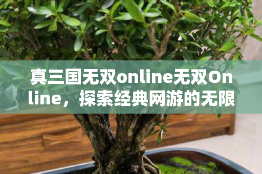 真三国无双online无双Online，探索经典网游的无限可能，真三国无双Online，探索经典网游的无限可能