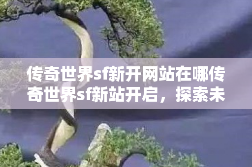 传奇世界sf新开网站在哪传奇世界sf新站开启图片