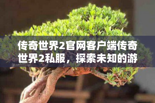 传奇世界2官网客户端传奇世界2私服,探索未知的游戏世界,传奇世界2私服探索未知游戏世界 传奇世界2官网客户端传奇世界2私服,探索未知的游戏世界,传奇世界2私服探索未知游戏世界