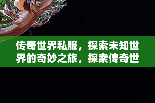 探索未知世界的奇妙之旅图片