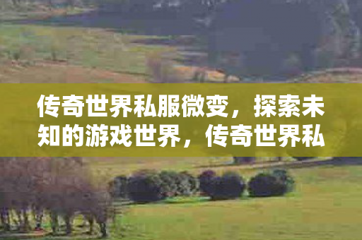 传奇世界私服微变，探索未知的游戏世界，传奇世界私服微变，探索未知游戏世界的奇妙之旅