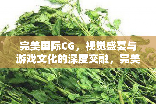 完美国际CG，视觉盛宴与游戏文化的深度交融，完美国际CG，视觉盛宴与游戏文化的深度交融