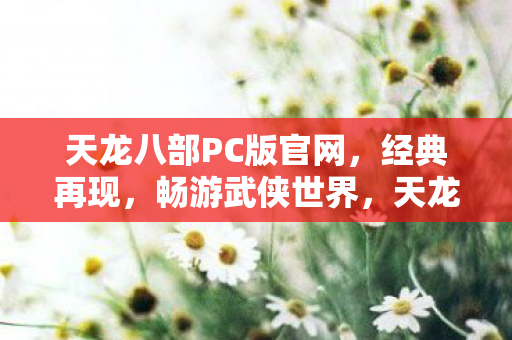 天龙八部PC版官网,经典再现,畅游武侠世界,天龙八部PC版官网上线,重温经典武侠世界 天龙八部PC版官网,经典再现,畅游武侠世界,天龙八部PC版官网上线,重温经典武侠世界