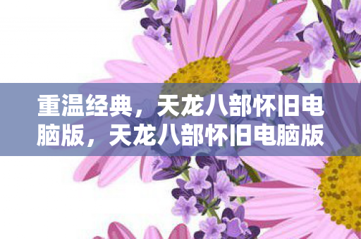 重温经典，天龙八部怀旧电脑版，天龙八部怀旧电脑版，重温经典，再续江湖情