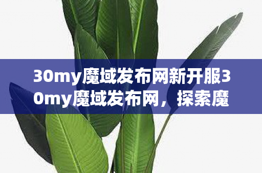 30my魔域发布网新开服30my魔域发布网，探索魔域世界的全新维度，30my魔域发布网，探索魔域世界的全新维度