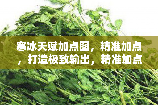 寒冰天赋加点图，精准加点，打造极致输出，精准加点，打造寒冰极致输出天赋