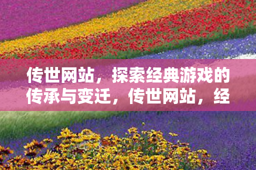 传世网站，探索经典游戏的传承与变迁，传世网站，经典游戏的传承与变迁