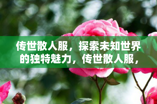传世散人服，探索未知世界的独特魅力，传世散人服，探索未知世界的独特魅力