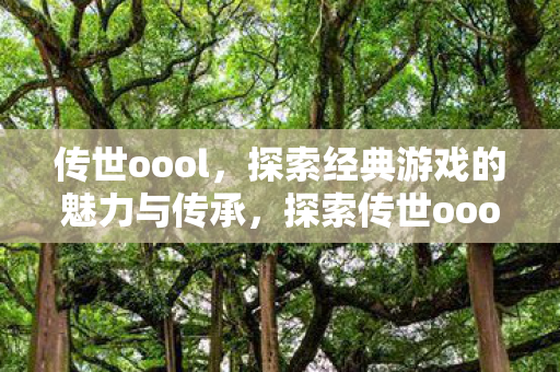 传世oool，探索经典游戏的魅力与传承，探索传世oool的经典游戏魅力与传承