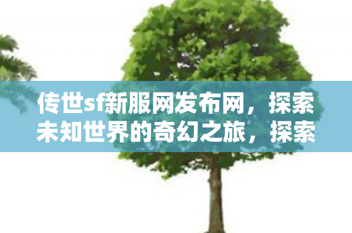 传世sf新服网发布网，探索未知世界的奇幻之旅，探索未知世界的奇幻之旅，传世sf新服网发布网