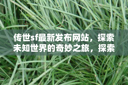 传世sf最新发布网站，探索未知世界的奇妙之旅，探索未知世界的奇妙之旅，传世sf最新发布网站