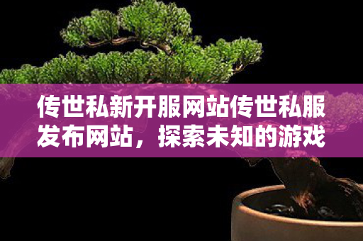 传世私新开服网站传世私服发布网站，探索未知的游戏世界，探索传世私新开服网站，开启未知游戏世界之旅
