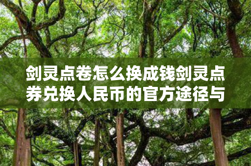 剑灵点卷怎么换成钱剑灵点券兑换人民币的官方途径与注意事项图片