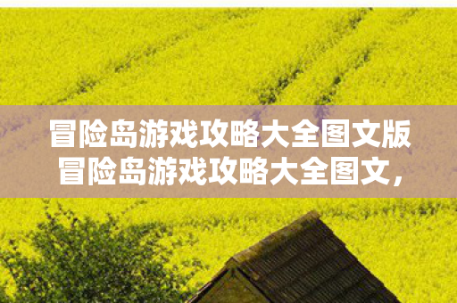 冒险岛游戏攻略大全图文版冒险岛游戏攻略大全图文，冒险岛游戏攻略大全图文版