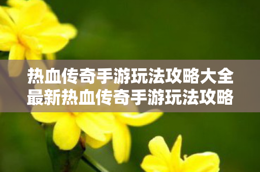 热血传奇手游玩法攻略大全最新热血传奇手游玩法攻略大全图片