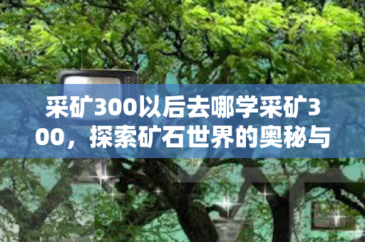采矿300以后去哪学采矿300，探索矿石世界的奥秘与技巧，探索矿石世界的奥秘，采矿300后去哪学采矿300？