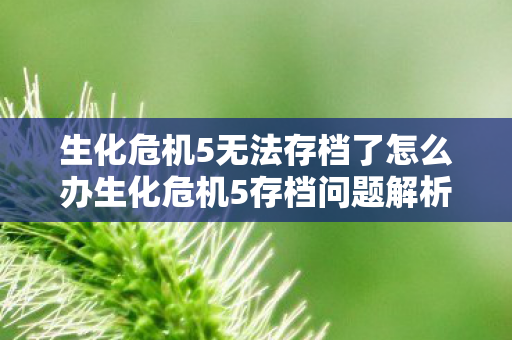 生化危机5无法存档了怎么办生化危机5存档问题解析，生化危机5存档问题解析