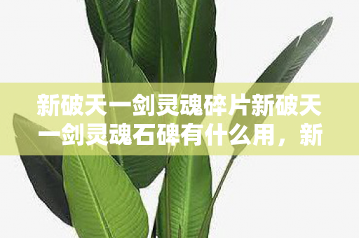 新破天一剑灵魂碎片新破天一剑灵魂石碑有什么用图片