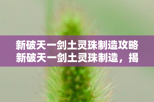 新破天一剑土灵珠制造攻略新破天一剑土灵珠制造图片
