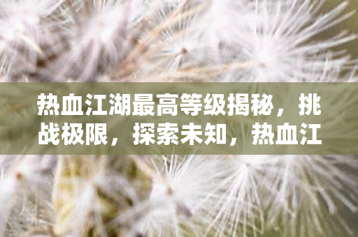 热血江湖最高等级揭秘，挑战极限，探索未知，热血江湖，揭秘最高等级，挑战极限，探索未知
