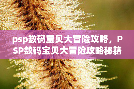 psp数码宝贝大冒险攻略，PSP数码宝贝大冒险攻略秘籍