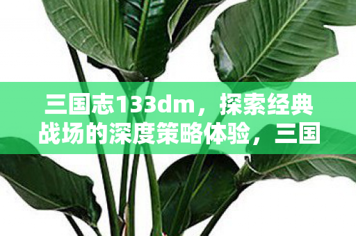 三国志133dm，探索经典战场的深度策略体验，三国志133dm，深度策略体验，探索经典战场