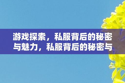 游戏探索，私服背后的秘密与魅力，私服背后的秘密与魅力，游戏探索的无限可能