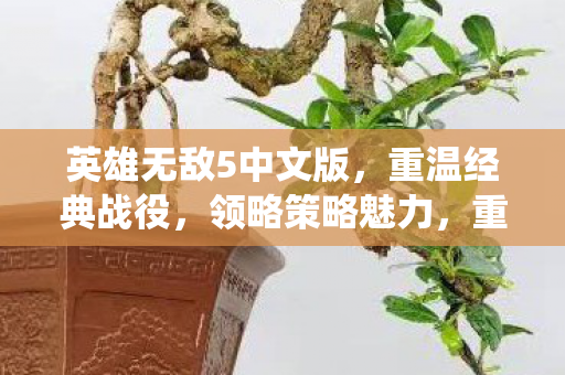 英雄无敌5中文版，重温经典战役，领略策略魅力，重温经典战役，领略策略魅力，英雄无敌5中文版