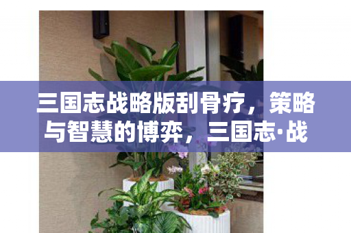 三国志战略版刮骨疗,策略与智慧的博弈,三国志·战略版刮骨疗毒,策略与智慧的博弈 三国志战略版刮骨疗,策略与智慧的博弈,三国志·战略版刮骨疗毒,策略与智慧的博弈