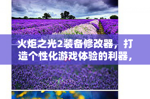 火炬之光2装备修改器，打造个性化游戏体验的利器，火炬之光2装备修改器，打造个性化游戏体验