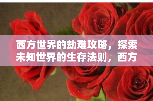 西方世界的劫难攻略，探索未知世界的生存法则，西方世界的劫难，探索生存法则与攻略